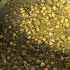 Best Chana Masala Vegan in Deer Park, NY